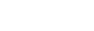 lostdolphin